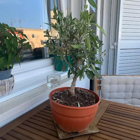 Parentium Town 아파트 *