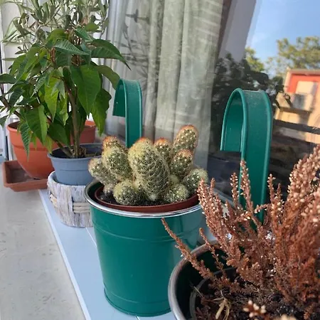 Апартаменты Parentium Town *