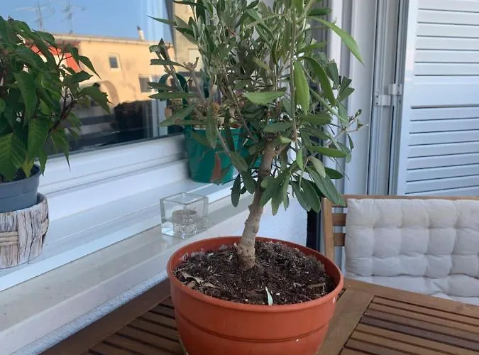 Parentium Town Apartment *