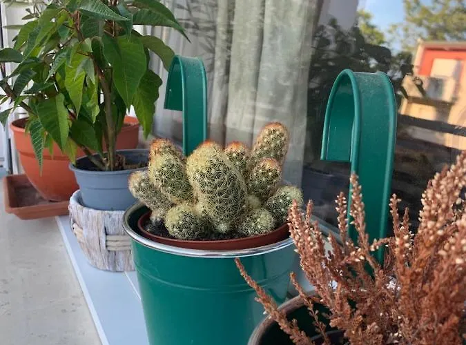 Apartmán Parentium Town *